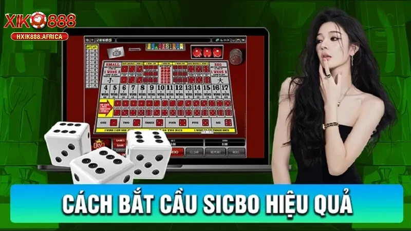Chiến Thuật Nâng Cao Để Làm Chủ Sicbo