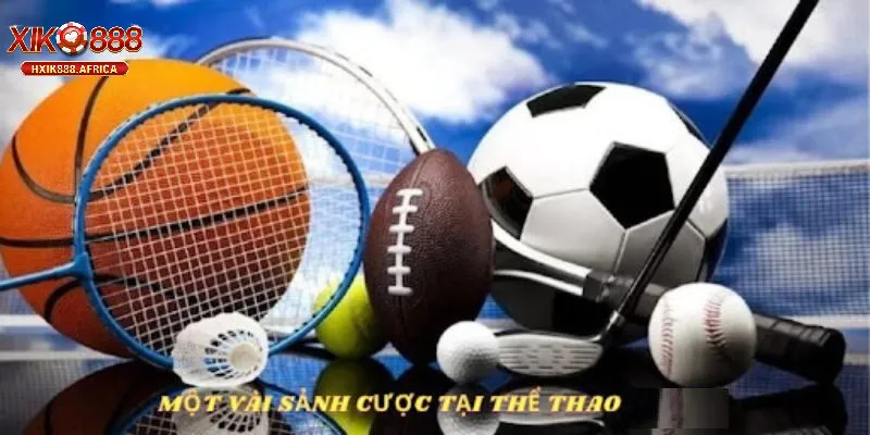 Xik888 và xu hướng cá cược Thể Thao